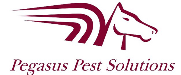 Pegasus Pest Solutions